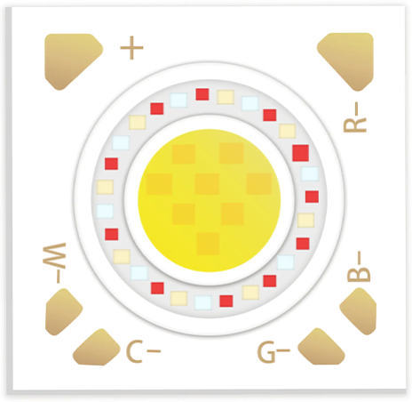 Componente RGBCW Evercore